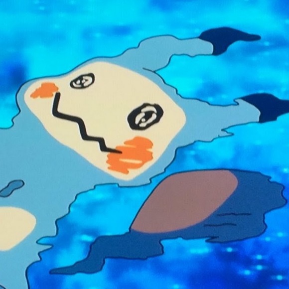 Meet your Posher, Raccoon - Picture 1 of 1